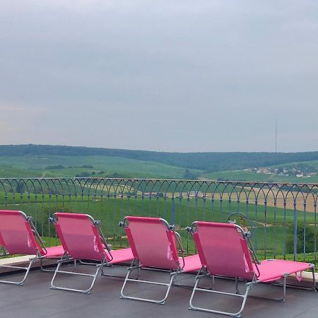 Villa FLORESSENS EN CHAMPAGNE Terrasse privative sur le vignoble à Fleury-la-Riviere Extérieur photo