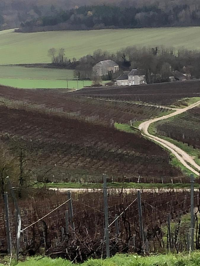 Villa FLORESSENS EN CHAMPAGNE Terrasse privative sur le vignoble à Fleury-la-Riviere Extérieur photo
