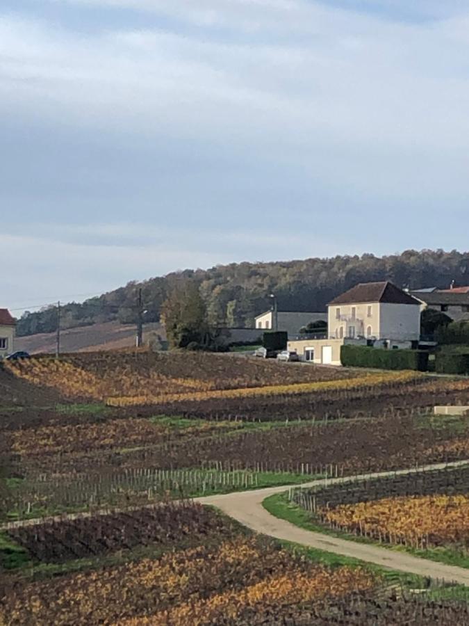 Villa FLORESSENS EN CHAMPAGNE Terrasse privative sur le vignoble à Fleury-la-Riviere Extérieur photo