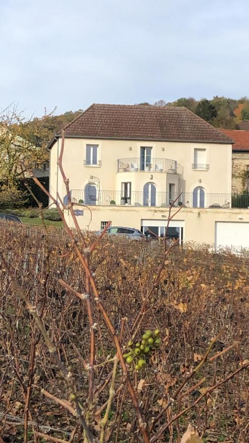 Villa FLORESSENS EN CHAMPAGNE Terrasse privative sur le vignoble à Fleury-la-Riviere Extérieur photo