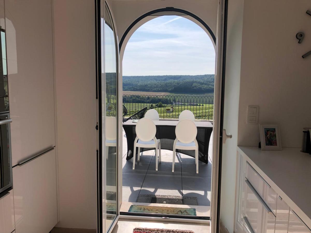 Villa FLORESSENS EN CHAMPAGNE Terrasse privative sur le vignoble à Fleury-la-Riviere Extérieur photo