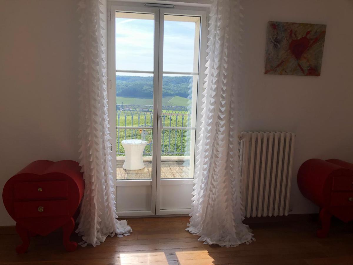 Villa FLORESSENS EN CHAMPAGNE Terrasse privative sur le vignoble à Fleury-la-Riviere Extérieur photo