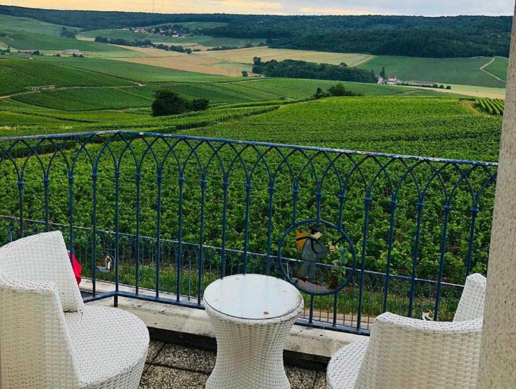 Villa FLORESSENS EN CHAMPAGNE Terrasse privative sur le vignoble à Fleury-la-Riviere Extérieur photo