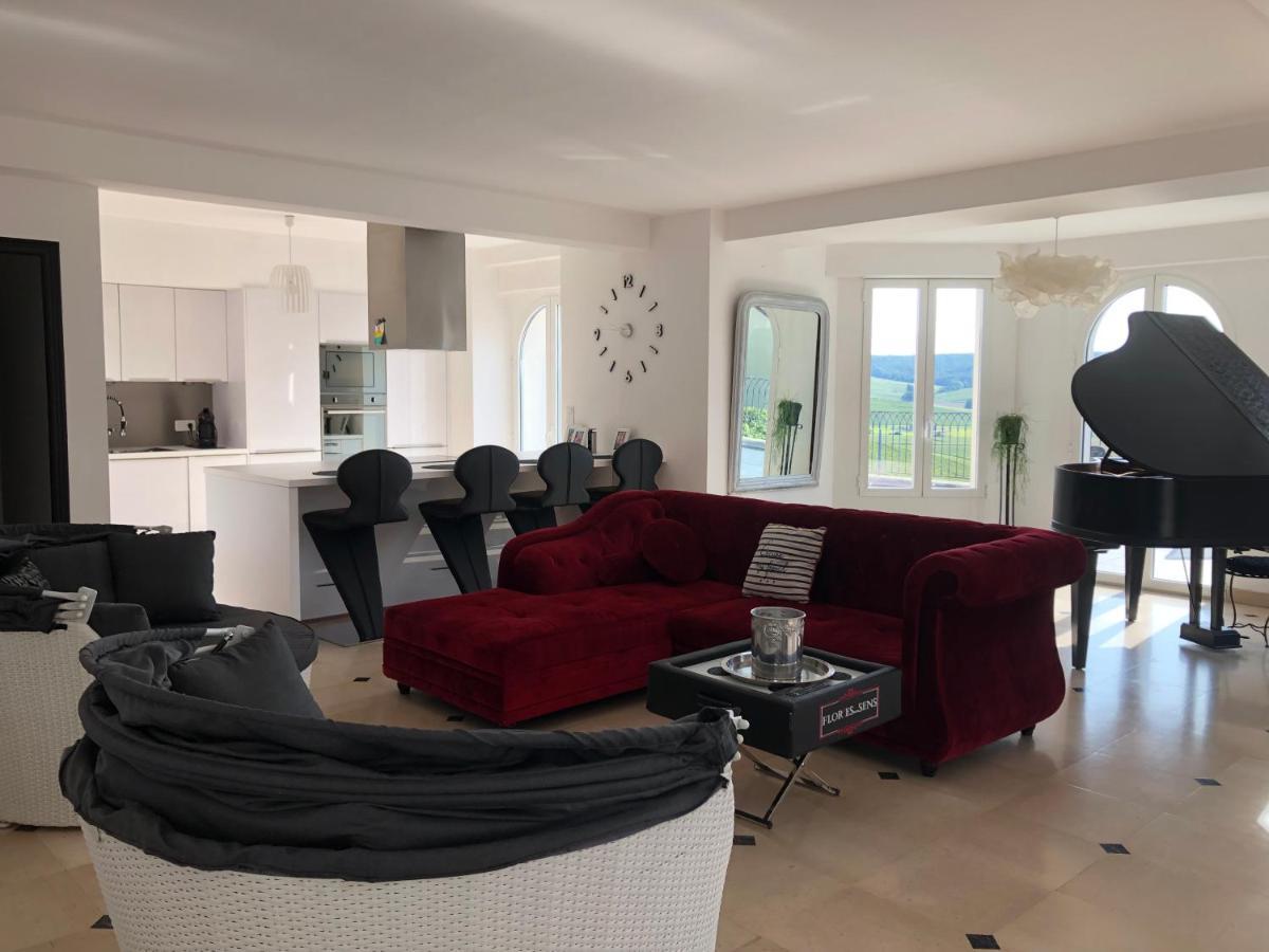 Villa FLORESSENS EN CHAMPAGNE Terrasse privative sur le vignoble à Fleury-la-Riviere Extérieur photo