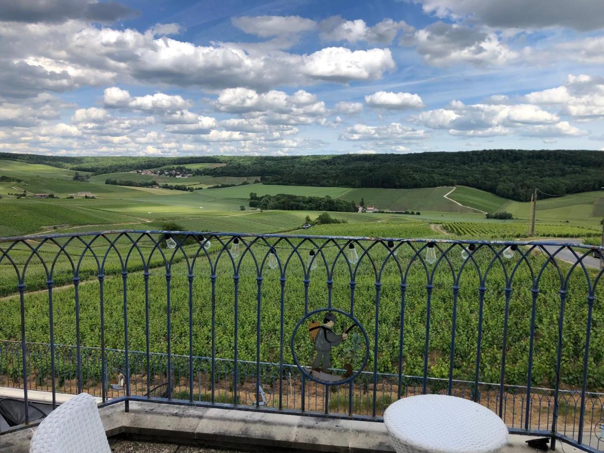 Villa FLORESSENS EN CHAMPAGNE Terrasse privative sur le vignoble à Fleury-la-Riviere Extérieur photo