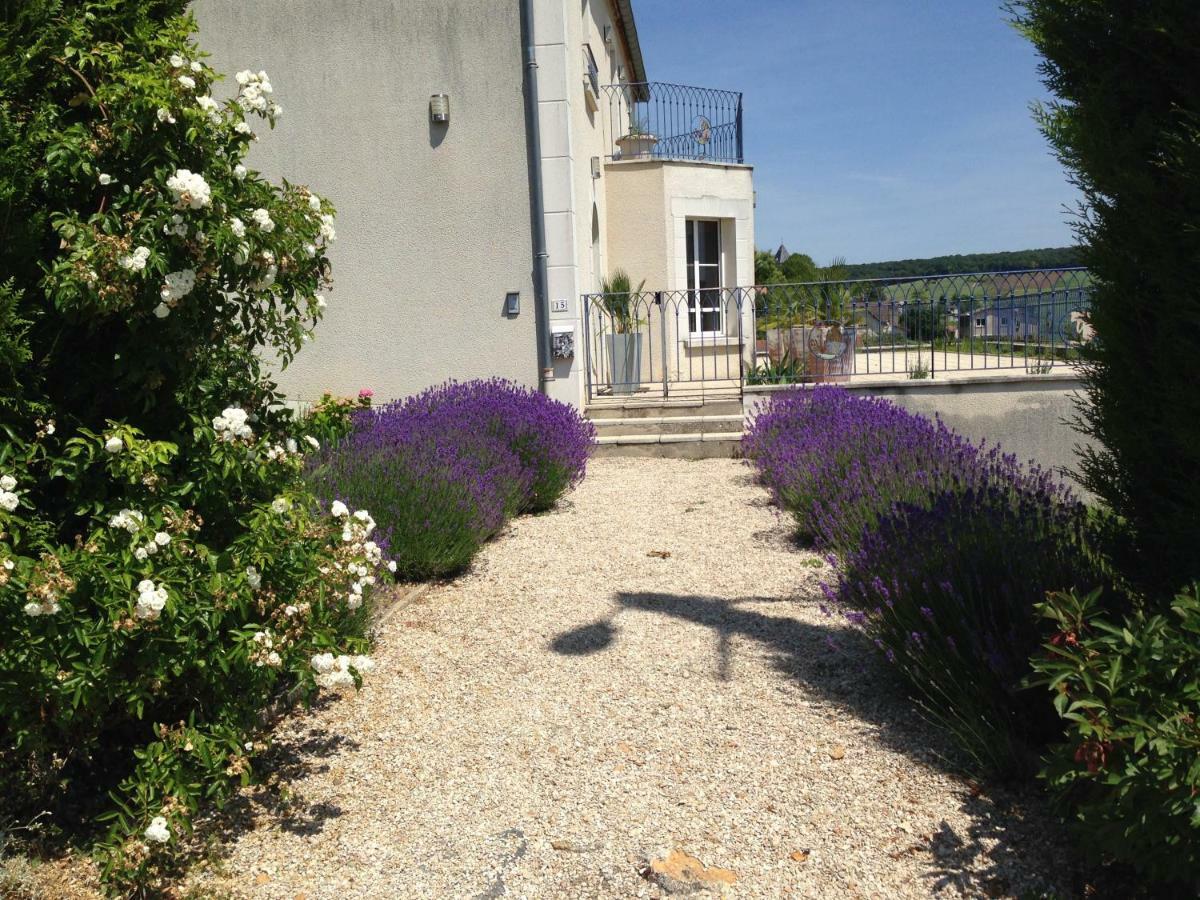 Villa FLORESSENS EN CHAMPAGNE Terrasse privative sur le vignoble à Fleury-la-Riviere Extérieur photo