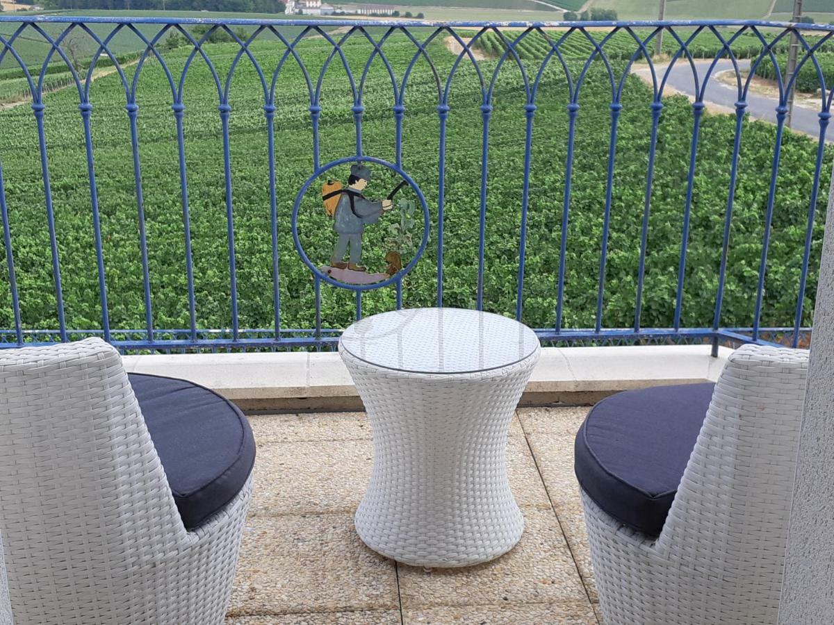 Villa FLORESSENS EN CHAMPAGNE Terrasse privative sur le vignoble à Fleury-la-Riviere Extérieur photo
